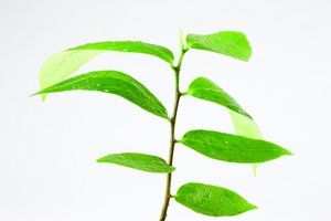 用户标签